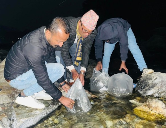 अर्जुनचौपारी दरौंखोलामा छाडियो ८० हजार माछाका भुरा