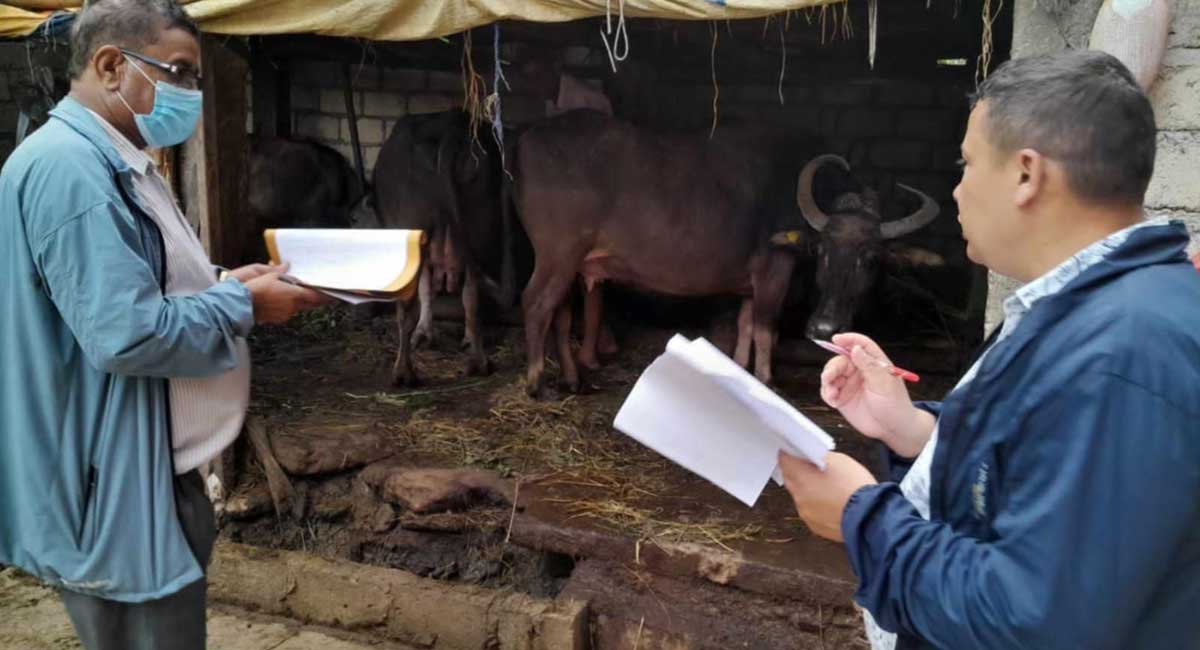 स्याङ्जाका पशुपालक किसान पशुधन सुरक्षण कार्यक्रमप्रति आकर्षित